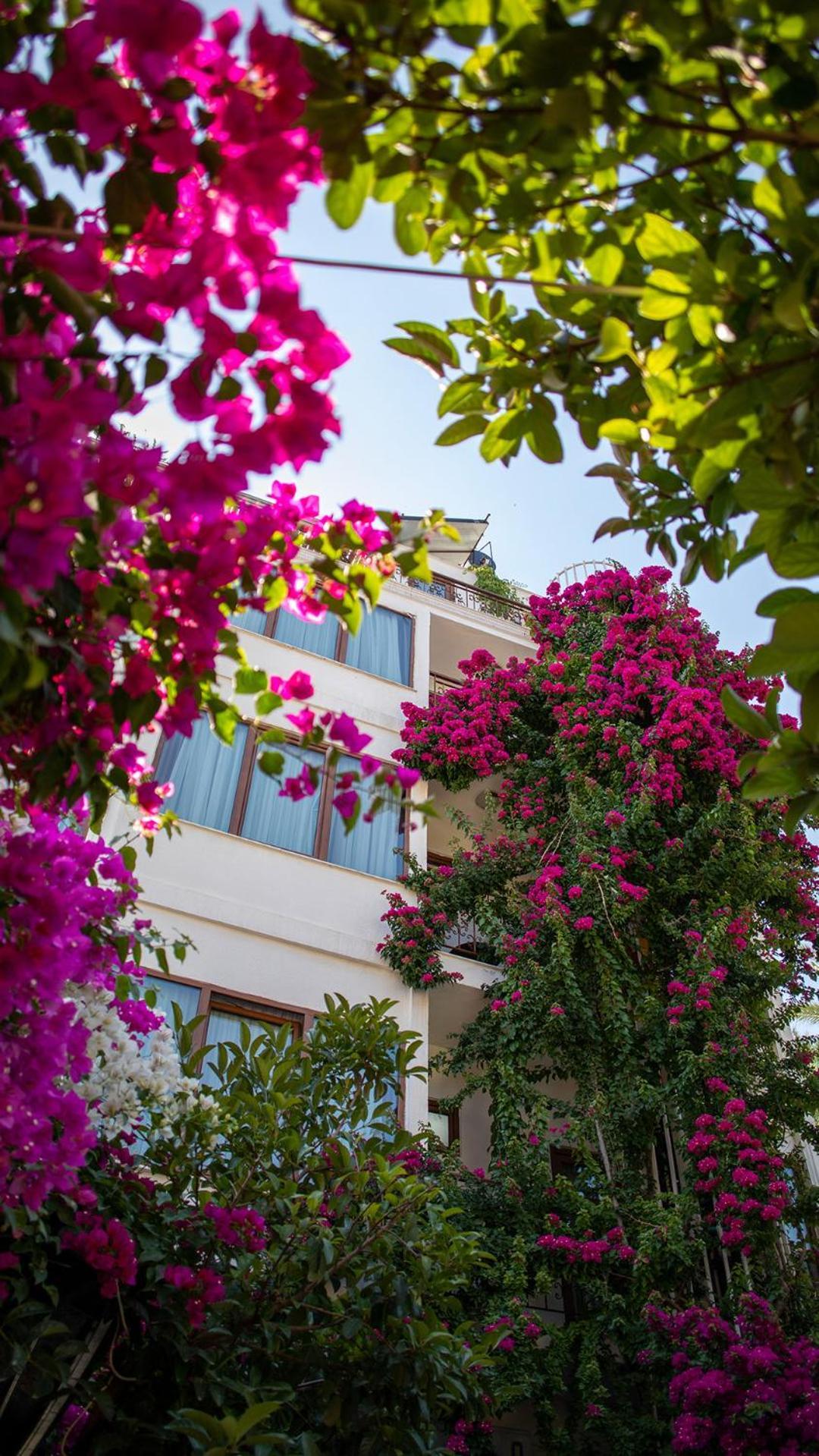 Patron Hotel Antalya Bagian luar foto